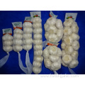 New Crop 2019 Fresh Pure White Garlic